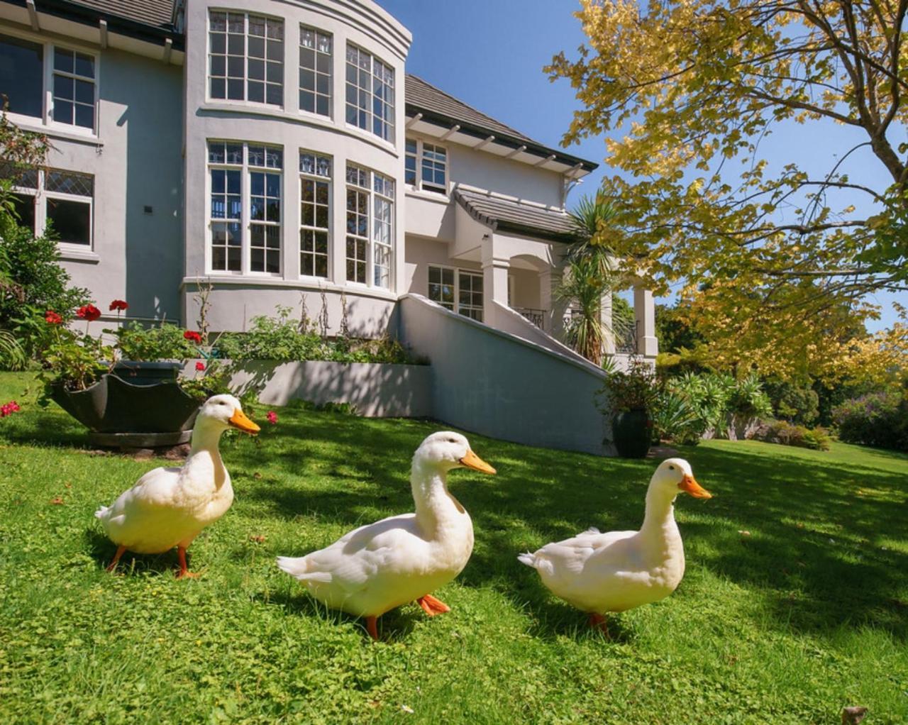 Greenmantle Estate Hotel Paraparaumu Exterior foto